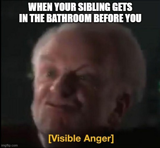 its so annoying | WHEN YOUR SIBLING GETS IN THE BATHROOM BEFORE YOU | image tagged in visible anger | made w/ Imgflip meme maker