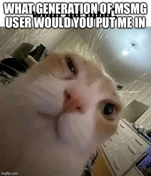 What da tuna? | WHAT GENERATION OF MSMG USER WOULD YOU PUT ME IN | image tagged in what da tuna | made w/ Imgflip meme maker