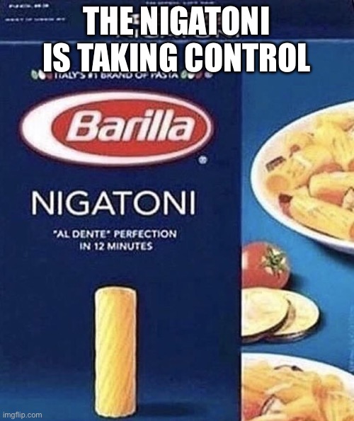 Nigatoni | THE NIGATONI IS TAKING CONTROL | image tagged in nigatoni | made w/ Imgflip meme maker