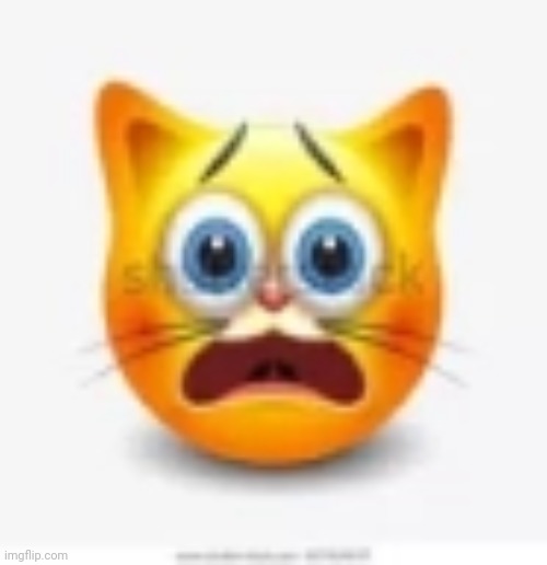Thought the image alone was funny | image tagged in cat stock emoji scared | made w/ Imgflip meme maker