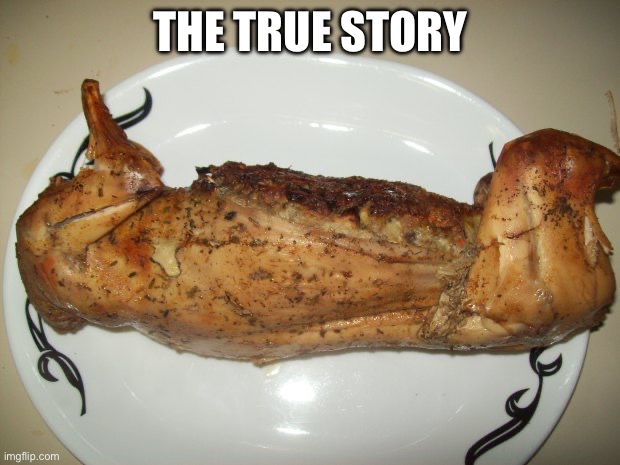 cooked rabbit | THE TRUE STORY | image tagged in cooked rabbit | made w/ Imgflip meme maker