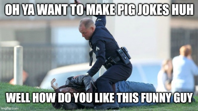 Cop Beating | OH YA WANT TO MAKE PIG JOKES HUH WELL HOW DO YOU LIKE THIS FUNNY GUY | image tagged in cop beating | made w/ Imgflip meme maker