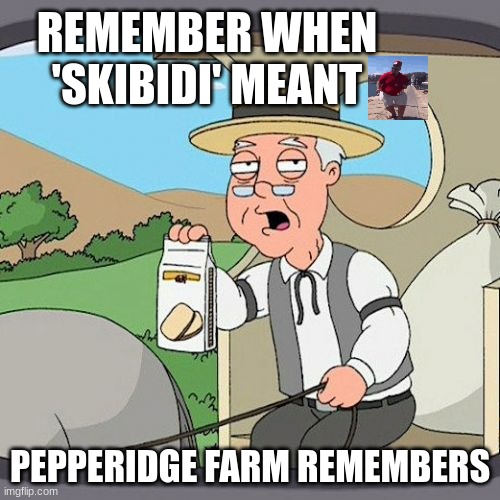 i feel old | REMEMBER WHEN 'SKIBIDI' MEANT; PEPPERIDGE FARM REMEMBERS | image tagged in memes,pepperidge farm remembers,skibidi | made w/ Imgflip meme maker