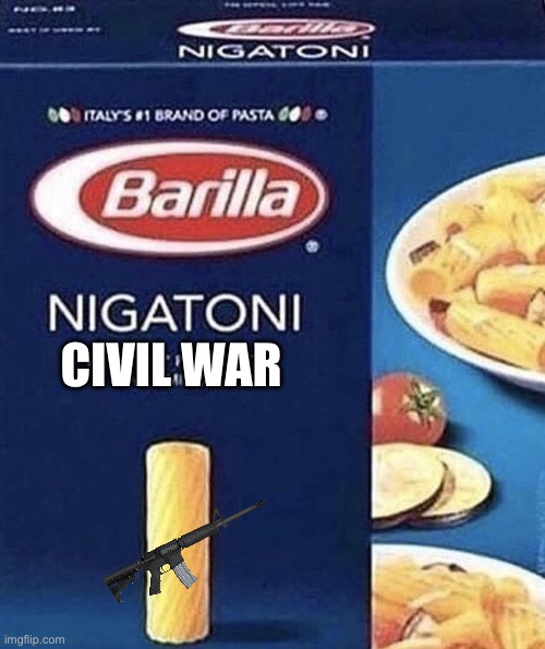 Nigatoni | CIVIL WAR | image tagged in nigatoni | made w/ Imgflip meme maker