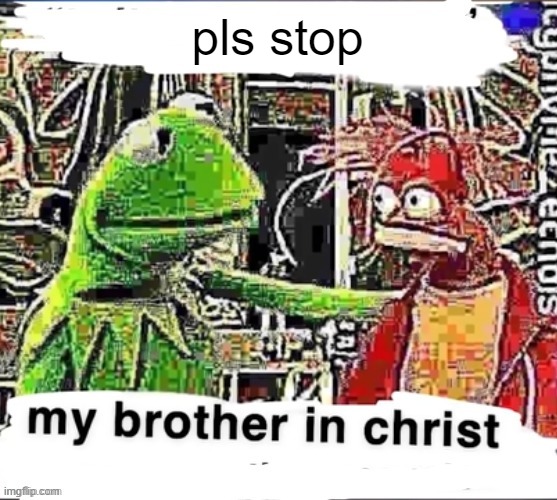 My brother in Christ | pls stop | image tagged in my brother in christ | made w/ Imgflip meme maker