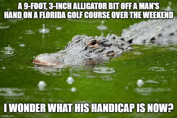 He was a 10 handicap player | A 9-FOOT, 3-INCH ALLIGATOR BIT OFF A MAN'S HAND ON A FLORIDA GOLF COURSE OVER THE WEEKEND; I WONDER WHAT HIS HANDICAP IS NOW? | image tagged in crocodile | made w/ Imgflip meme maker