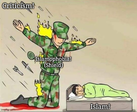 Soldier protecting sleeping child | Criticism! Islamophobia!
(Shield); Islam! | image tagged in soldier protecting sleeping child | made w/ Imgflip meme maker