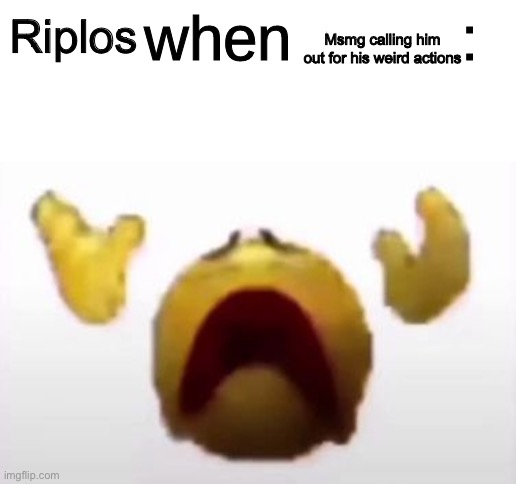 bro really said “nah ima kill myself” | Msmg calling him out for his weird actions; Riplos | image tagged in user when offended | made w/ Imgflip meme maker