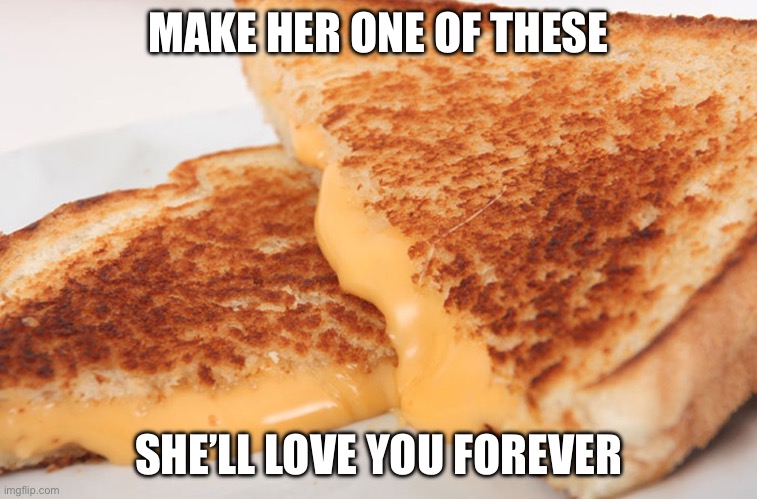 Grilled Cheese | MAKE HER ONE OF THESE SHE’LL LOVE YOU FOREVER | image tagged in grilled cheese | made w/ Imgflip meme maker