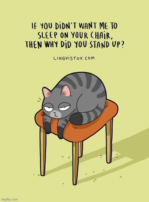 A Cat's Way Of Thinking | image tagged in memes,comics/cartoons,cats,no sleep,there | made w/ Imgflip meme maker