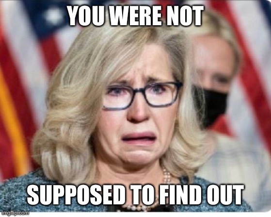 Liz Cheney | YOU WERE NOT SUPPOSED TO FIND OUT | image tagged in liz cheney | made w/ Imgflip meme maker