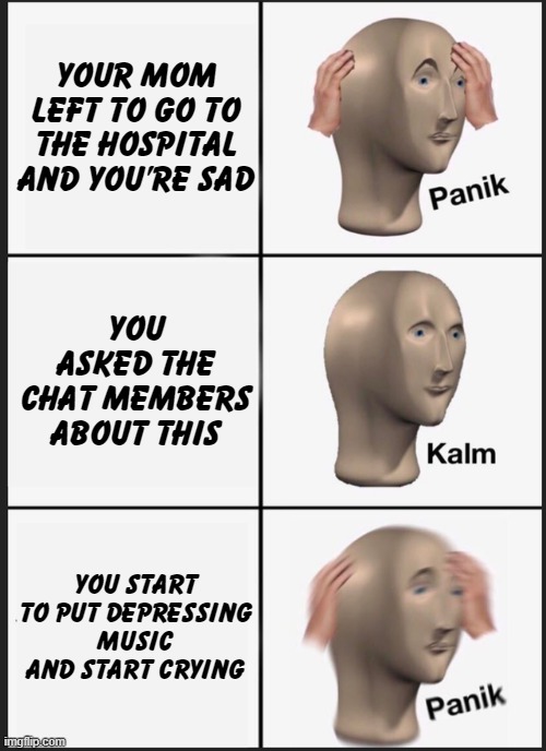 Sad | Your mom left to go to the hospital and you're sad; you asked the chat members about this; YOU START TO PUT DEPRESSING MUSIC AND START CRYING | image tagged in memes,panik kalm panik,emotional | made w/ Imgflip meme maker