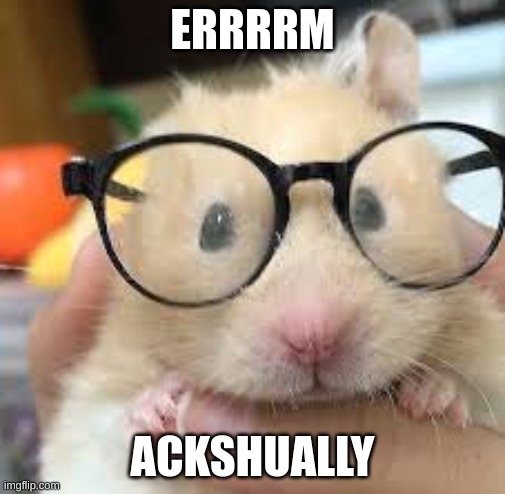 ERRRRM; ACKSHUALLY | image tagged in nerd,hampter | made w/ Imgflip meme maker