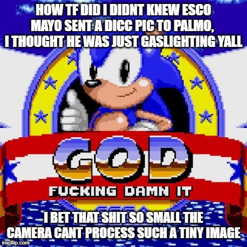 god fucking damn it | HOW TF DID I DIDNT KNEW ESCO MAYO SENT A DICC PIC TO PALMO,  I THOUGHT HE WAS JUST GASLIGHTING YALL; I BET THAT SHIT SO SMALL THE CAMERA CANT PROCESS SUCH A TINY IMAGE | image tagged in god fucking damn it | made w/ Imgflip meme maker