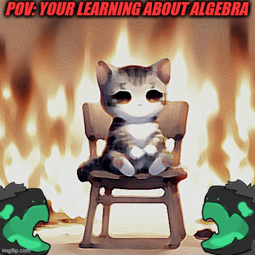 pov: your learning about Algebra | POV: YOUR LEARNING ABOUT ALGEBRA | image tagged in algebra,everything is fine,comen_glutamate,comen_glutamate memes,ai meme,cat meme | made w/ Imgflip meme maker