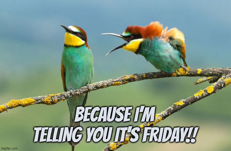 Friday | BECAUSE I'M TELLING YOU IT'S FRIDAY!! | image tagged in friday,yay it's friday,happy friday,weekend,funny meme | made w/ Imgflip meme maker