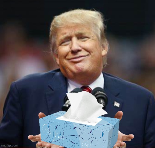Need a tissue? | image tagged in donald trump,response for crying liberals | made w/ Imgflip meme maker