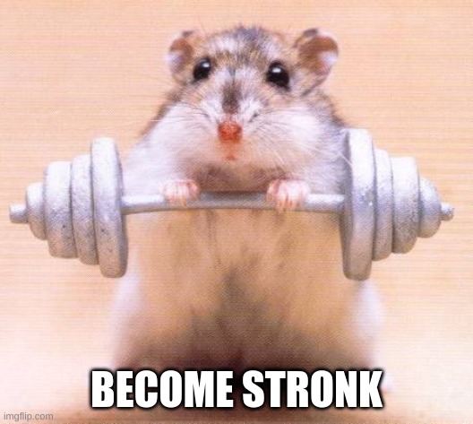 BECOME STRONK | image tagged in hampter | made w/ Imgflip meme maker