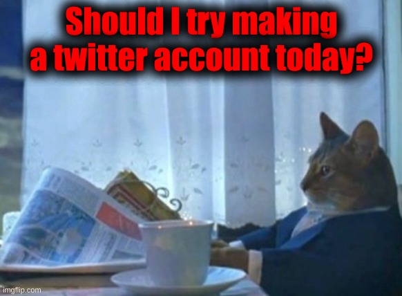 You guys choose. | Should I try making a twitter account today? | image tagged in memes,i should buy a boat cat | made w/ Imgflip meme maker