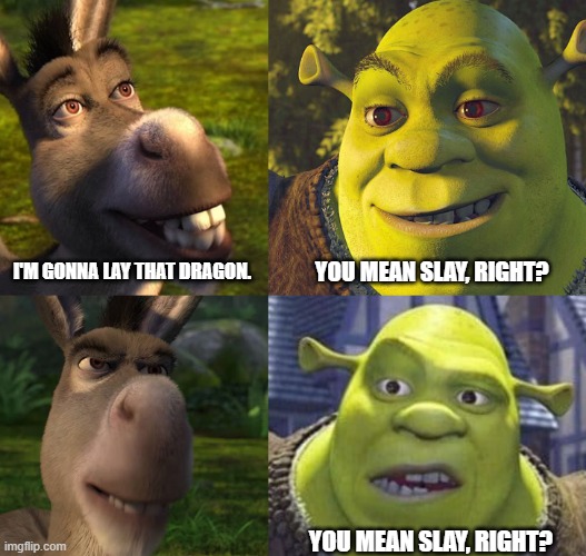 Shrek & Donkey 4 Panel | YOU MEAN SLAY, RIGHT? I'M GONNA LAY THAT DRAGON. YOU MEAN SLAY, RIGHT? | image tagged in anakin padme 4 panel,shrek,donkey | made w/ Imgflip meme maker