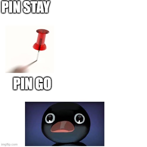 Drake Hotline Bling | PIN STAY; PIN GO | image tagged in memes,drake hotline bling | made w/ Imgflip meme maker