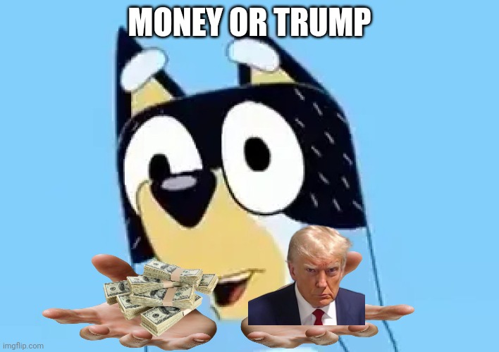 Bandit says | MONEY OR TRUMP | image tagged in bandit | made w/ Imgflip meme maker