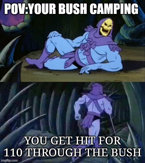 Skeletor disturbing facts | POV:YOUR BUSH CAMPING; YOU GET HIT FOR 110 THROUGH THE BUSH | image tagged in skeletor disturbing facts | made w/ Imgflip meme maker