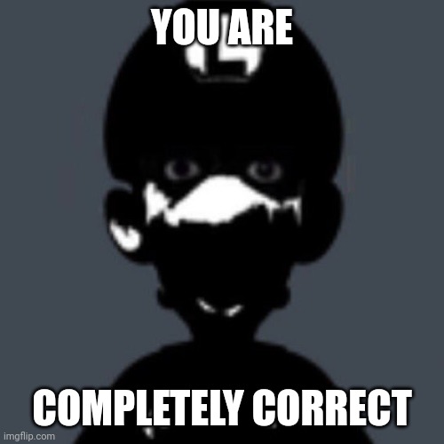 Cursed Luigi | YOU ARE COMPLETELY CORRECT | image tagged in cursed luigi | made w/ Imgflip meme maker