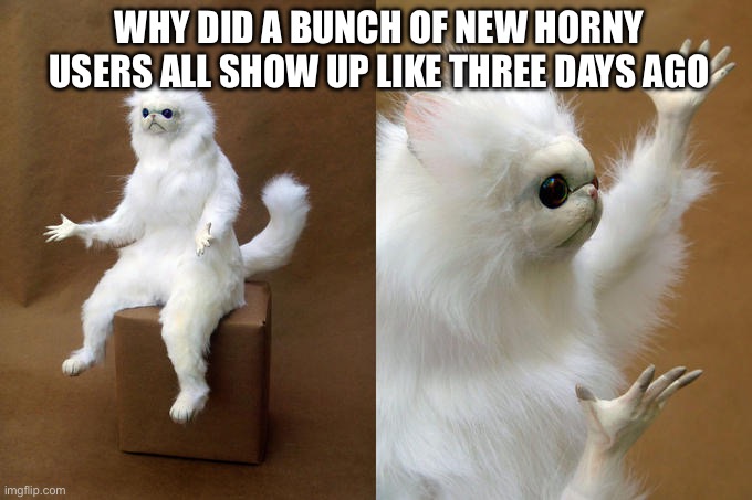 Persian Cat Room Guardian | WHY DID A BUNCH OF NEW HORNY USERS ALL SHOW UP LIKE THREE DAYS AGO | image tagged in memes,persian cat room guardian | made w/ Imgflip meme maker