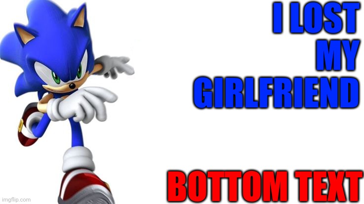 Sonic says | I LOST MY GIRLFRIEND; BOTTOM TEXT | image tagged in sonic says | made w/ Imgflip meme maker