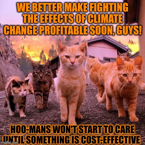 This #lolcat wonders why saving the planet has to be 'profitable' | WE BETTER MAKE FIGHTING THE EFFECTS OF CLIMATE CHANGE PROFITABLE SOON, GUYS! HOO-MANS WON'T START TO CARE UNTIL SOMETHING IS COST-EFFECTIVE | image tagged in climate change,stupid people,greed,lolcat | made w/ Imgflip meme maker