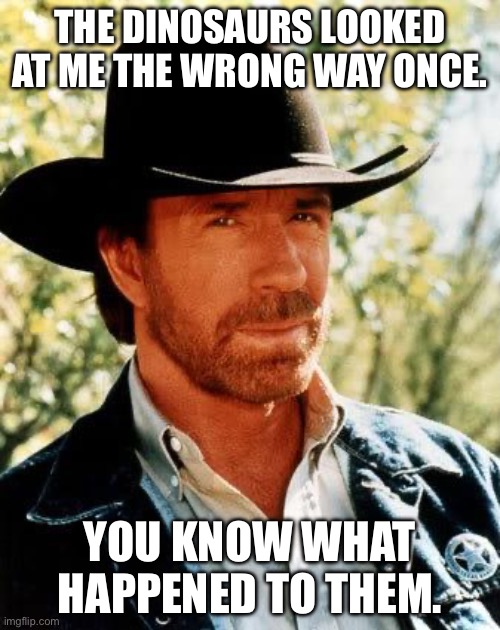 So that’s how the dinosaurs went extinct. | THE DINOSAURS LOOKED AT ME THE WRONG WAY ONCE. YOU KNOW WHAT HAPPENED TO THEM. | image tagged in memes,chuck norris | made w/ Imgflip meme maker
