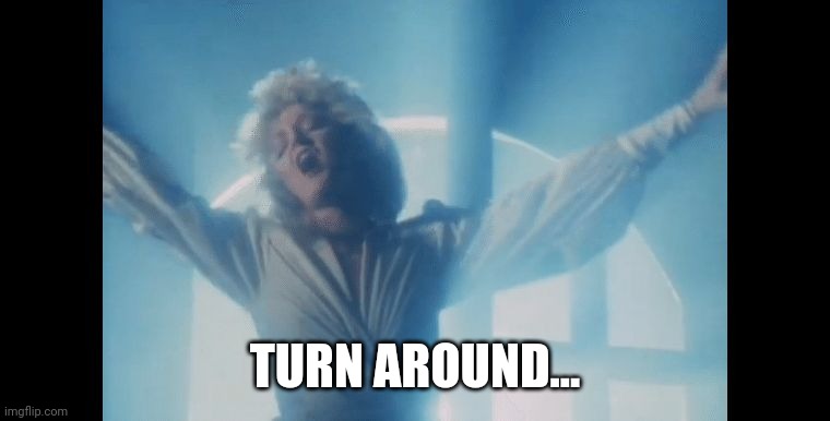 Bonnie Tyler | TURN AROUND... | image tagged in bonnie tyler | made w/ Imgflip meme maker