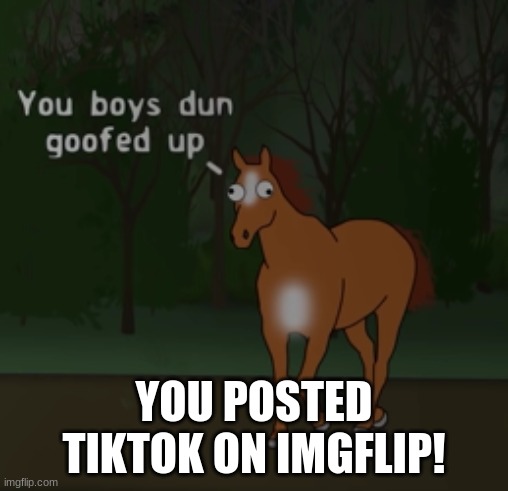 You Boys Dun Goofed Up | YOU POSTED TIKTOK ON IMGFLIP! | image tagged in you boys dun goofed up | made w/ Imgflip meme maker