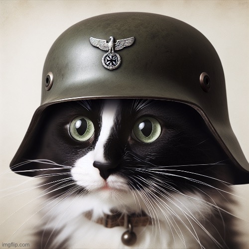 Ai did good with this one | image tagged in german cat | made w/ Imgflip meme maker