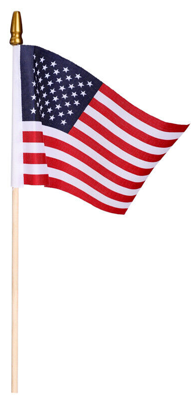 Small American Flag Blank Meme Template