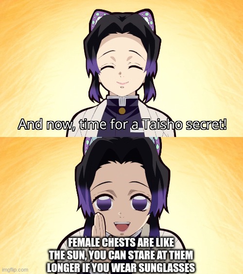 Lol | FEMALE CHESTS ARE LIKE THE SUN, YOU CAN STARE AT THEM LONGER IF YOU WEAR SUNGLASSES | image tagged in demon slayer shinobu taisho secret | made w/ Imgflip meme maker