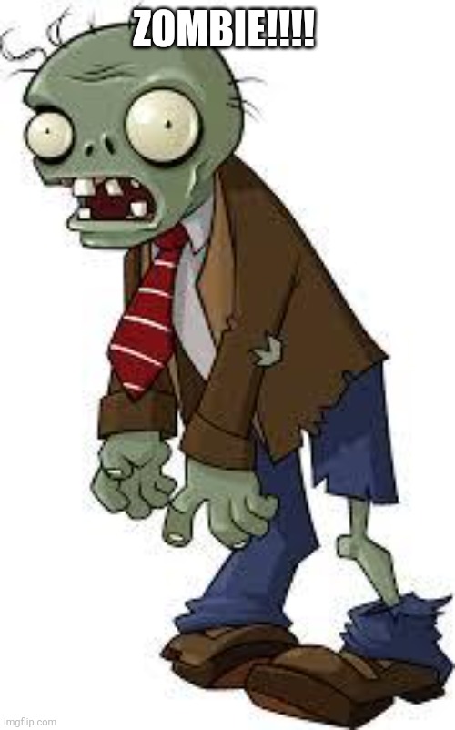 ZOMBIE!!!! | image tagged in pvz zombie | made w/ Imgflip meme maker