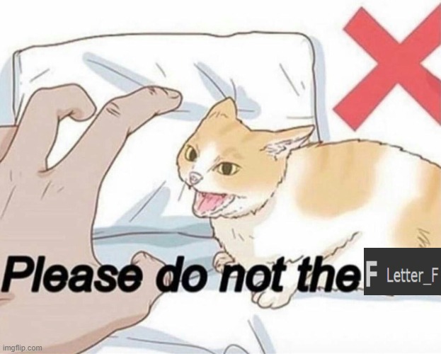 Please do not the cat | image tagged in please do not the cat | made w/ Imgflip meme maker