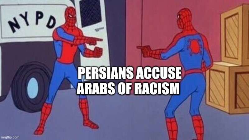 Racism | PERSIANS ACCUSE ARABS OF RACISM | image tagged in spiderman pointing at spiderman,iran,persian,arab,iranian,racism | made w/ Imgflip meme maker