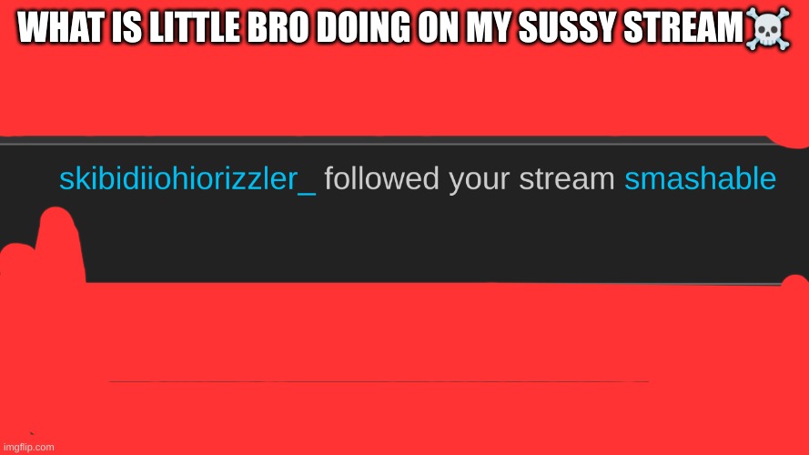 what. | WHAT IS LITTLE BRO DOING ON MY SUSSY STREAM☠ | image tagged in bro,is,sussy,baka | made w/ Imgflip meme maker