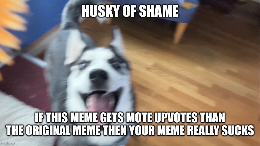 HUSKY OF SHAME IF THIS MEME GETS MOTE UPVOTES THAN THE ORIGINAL MEME THEN YOUR MEME REALLY SUCKS | made w/ Imgflip meme maker