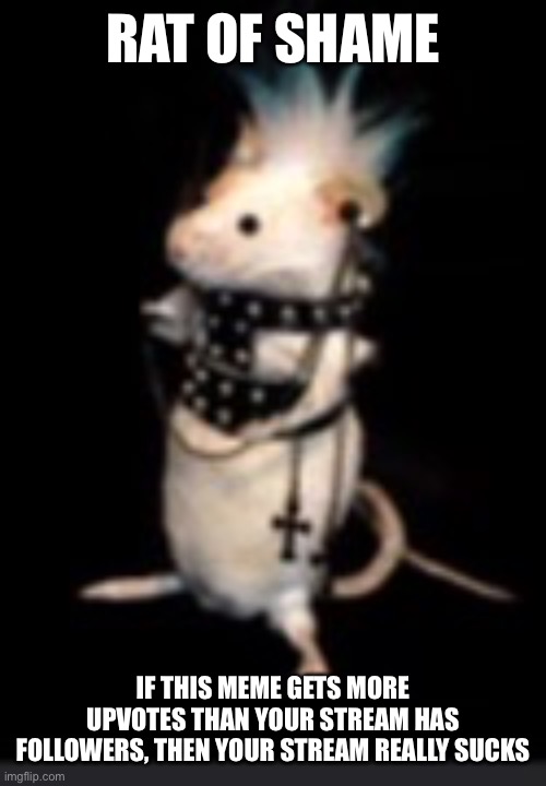 RAT OF SHAME; IF THIS MEME GETS MORE UPVOTES THAN YOUR STREAM HAS FOLLOWERS, THEN YOUR STREAM REALLY SUCKS | image tagged in emo rat | made w/ Imgflip meme maker