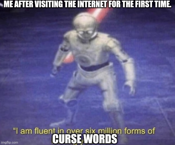 I am fluent in over six million forms of kicking your ass | ME AFTER VISITING THE INTERNET FOR THE FIRST TIME. CURSE WORDS | image tagged in i am fluent in over six million forms of kicking your ass | made w/ Imgflip meme maker