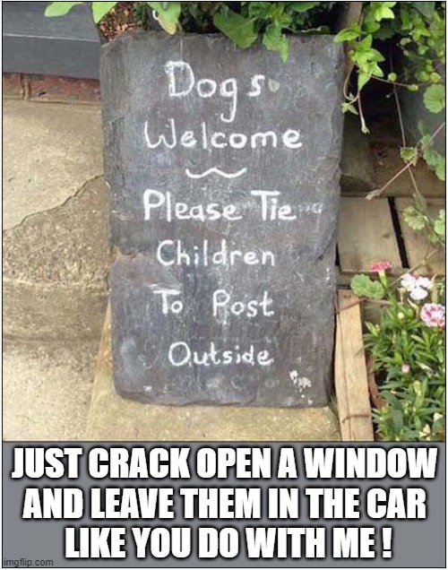 A Dogs Suggestion ? | JUST CRACK OPEN A WINDOW
AND LEAVE THEM IN THE CAR
 LIKE YOU DO WITH ME ! | image tagged in dogs,children,post,car | made w/ Imgflip meme maker