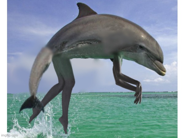 no comment | image tagged in no context,fear,pain,dolphin,legs,photoshop | made w/ Imgflip meme maker