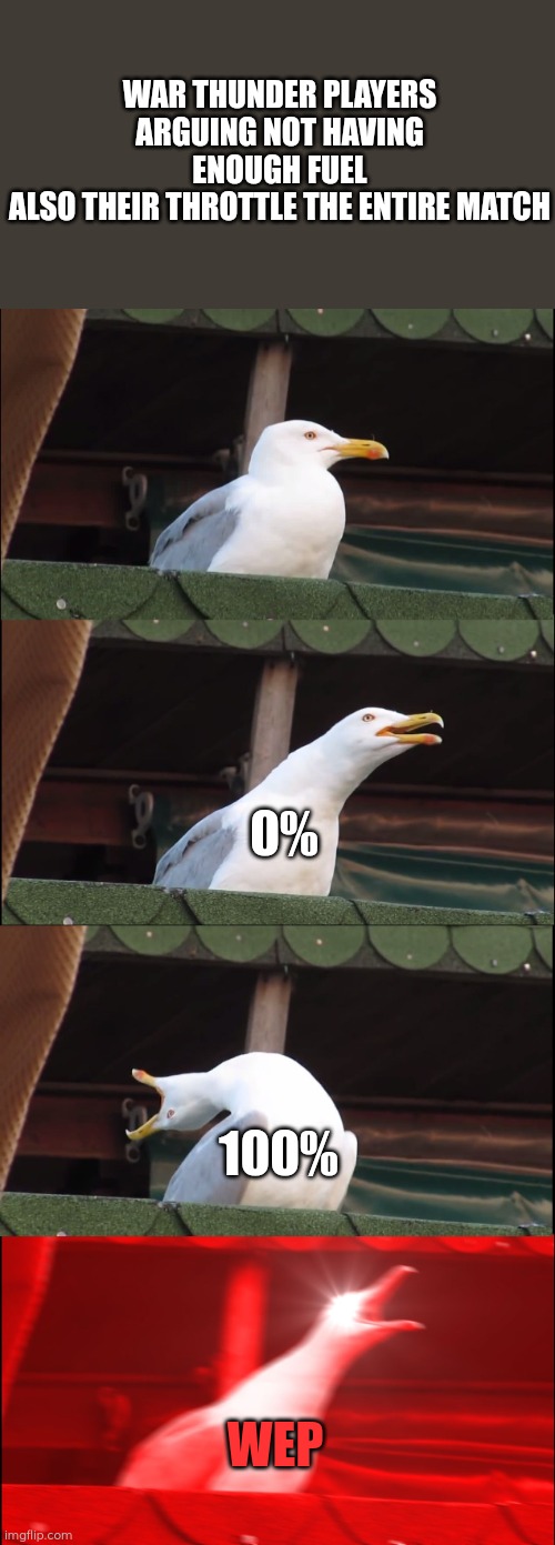 War thunder fuel issue | WAR THUNDER PLAYERS ARGUING NOT HAVING ENOUGH FUEL
ALSO THEIR THROTTLE THE ENTIRE MATCH; 0%; 100%; WEP | image tagged in memes,inhaling seagull | made w/ Imgflip meme maker