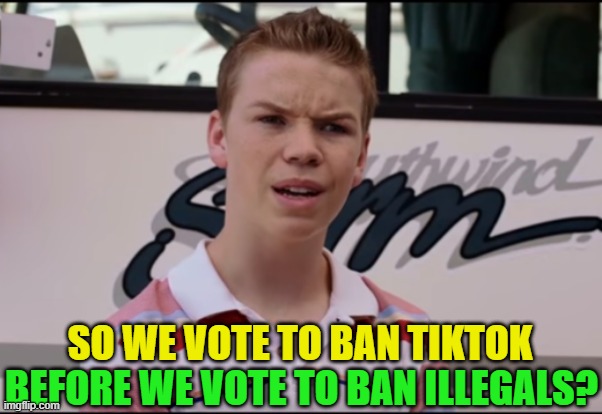 This makes NO sense | BEFORE WE VOTE TO BAN ILLEGALS? SO WE VOTE TO BAN TIKTOK | image tagged in you guys are getting paid,illegal immigration,secure the border,maga,trump,biden | made w/ Imgflip meme maker