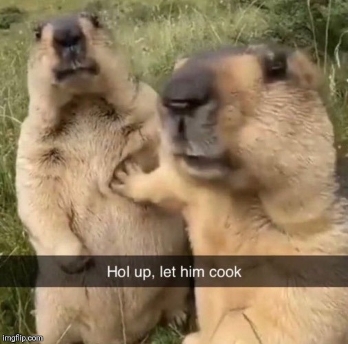 @post below | image tagged in marmots,hamsters,rodent,let him cook | made w/ Imgflip meme maker