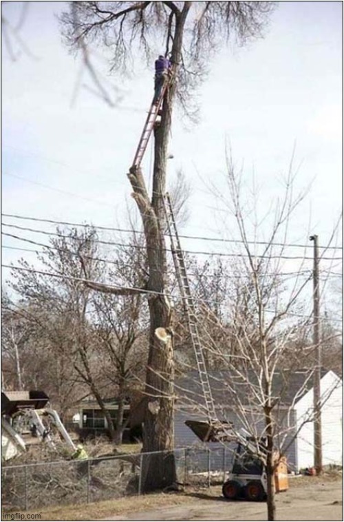 If He Falls, The High Voltage Cables Will Save Him ! | image tagged in darwin award,falling,dark humour | made w/ Imgflip meme maker